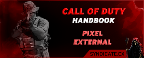 More information about "Pixel BO6/Warzone Loader"