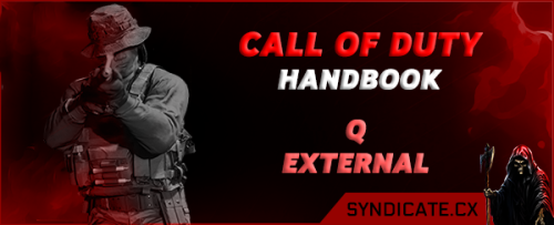 More information about "Q External BO6/WZ Loader"